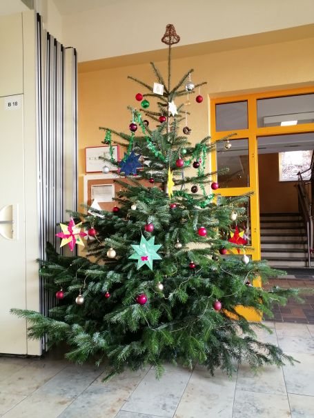 weihnachtsbaum2020